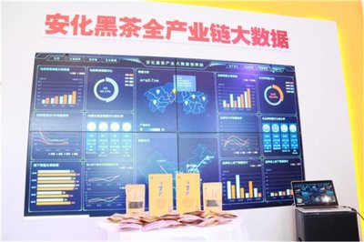 高马二溪亮相全国“双新双创”博览会 大数据赋能国礼茶，探索金融信息服务新路径